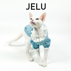 JELU Hairless Cat Clothes Sphinx Summer Doll Collar Baby Shirt Light and Breathable to Resist Hair Loss JELU Hairless Cat Clothes Sphinx Summer Doll Collar Baby Shirt Light and Breathable to Resist Hair Loss