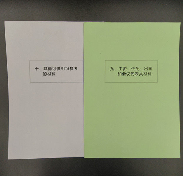 분류지, 간지, 색인지, 80G 페이징지 등 10개 카테고리 풀컬러 A4 간부 인사 파일 50세트 -