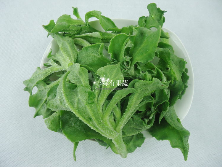 非洲冰草 新鲜蔬菜400g 爽口沙拉菜 北极野生冰菜 5件