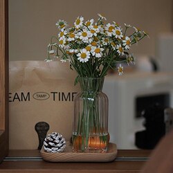 ins Internet-Famous Artistic Flat-Mouth Glass Vase for Guesthouses, Hotels, Home Interiors, Restaurants, Hydroponic Decoration, Vase Ornament ins Internet-Famous Artistic Flat-Mouth Glass Vase for Guesthouses, Hotels, Home Interiors, Restaurants, Hydroponic Decoration, Vase Ornament