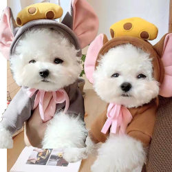 Transform into Dog Cat Pet Teddy Pomeranian Raincoat Transform into Dog Cat Pet Teddy Pomeranian Raincoat