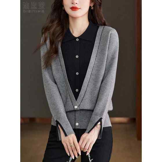 2025 Spring and Autumn New Fake Two-Piece Sweater Women's Lapel Knitted Long Sleeve Chic Design Pullover Base Shirt Top
2025 Spring and Autumn New Fake Two-Piece Sweater Women's Lapel Knitted Long Sleeve Chic Design Pullover Base Shirt Top
