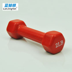 2lb Rubber-Coated Dumbbell, Silent and Anti-Rolling, for Men and Women, Home Fitness, Hexagonal Rubber-Coated Solid Cast Iron Dumbbell 2lb Rubber-Coated Dumbbell, Silent and Anti-Rolling, for Men and Women, Home Fitness, Hexagonal Rubber-Coated Solid Cast Iron Dumbbell