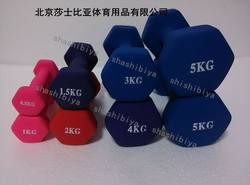 Plastic-Coated Dumbbells 1 2 3 4 5 6 8 10 kg  Rubber-Coated Dumbbells 5kg Women's Colorful Dumbbells Plastic-Coated Dumbbells 1 2 3 4 5 6 8 10 kg  Rubber-Coated Dumbbells 5kg Women's Colorful Dumbbells