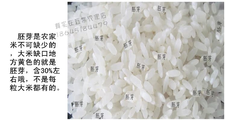 预售14新米现磨东北五常特产稻花香大米黑龙江非转基因贡米10包邮
