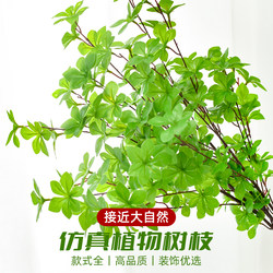 Artificial Greenery, Japanese Bellflower, Single Branch Plastic Maple Leaf, Fake Branches, Fake Flowers, Decorative Green Leaves, Flower Arrangement Display Artificial Greenery, Japanese Bellflower, Single Branch Plastic Maple Leaf, Fake Branches, Fake Flowers, Decorative Green Leaves, Flower Arrangement Display