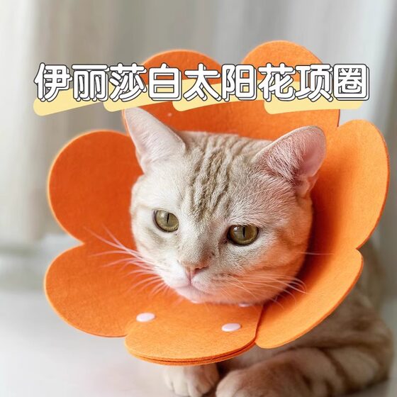 Elizabeth Circle Cat Pet Dog's Head Set to Defense Licking Sharp Breakfast Neck Circle Soft cloth Elisa collar Elizabeth Circle Cat Pet Dog's Head Set to Defense Licking Sharp Breakfast Neck Circle Soft cloth Elisa collar