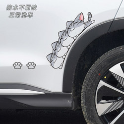 Car Stickers to Cover Scratches, Cover Scratches on the Body and Wheel Arches, Scratches on the Bumper, Decorative Personalized Creative Car Stickers Car Stickers to Cover Scratches, Cover Scratches on the Body and Wheel Arches, Scratches on the Bumper, Decorative Personalized Creative Car Stickers