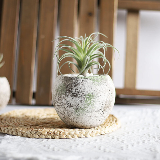 Retro round old craft cement flower pot breathable moss stone pattern gardening ornaments flower pot succulent planting pot
Retro round old craft cement flower pot breathable moss stone pattern gardening ornaments flower pot succulent planting pot