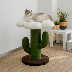 Trendy Flower Cactus Cat Climbing Frame Cat Bed Cat Tree All-In-One Scratcher for Ragdoll Maine  Fat Cats Large Cats Trendy Flower Cactus Cat Climbing Frame Cat Bed Cat Tree All-In-One Scratcher for Ragdoll Maine  Fat Cats Large Cats