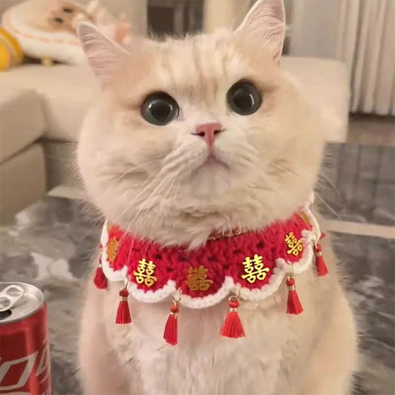 Pet dowry decoration, cat wedding bib, dog saliva scarf, wedding bib dress, red festive collar 
Pet dowry decoration, cat wedding bib, dog saliva scarf, wedding bib dress, red festive collar