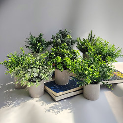 Artificial Green Plants and Flowers for Living Room Decoration, Eucalyptus Indoor Plastic Floral Arrangements, Mini Plant Decorations, Small Bonsai Artificial Green Plants and Flowers for Living Room Decoration, Eucalyptus Indoor Plastic Floral Arrangements, Mini Plant Decorations, Small Bonsai