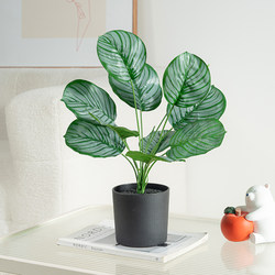 Artificial Plant Apple Leaf Small Potted Plant Landscaping Decoration Indoor Living Room Shop Soft Decoration Ornament Fake Green Plant Artificial Plant Apple Leaf Small Potted Plant Landscaping Decoration Indoor Living Room Shop Soft Decoration Ornament Fake Green Plant