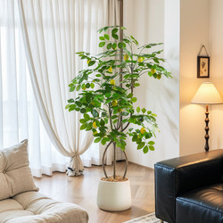 Simulated Lemon Tree, Artificial Tree, Bionic Plant Decoration, Living Room, High-End Green Plant, Floor-Standing Ornament Next to Indoor Sofa Simulated Lemon Tree, Artificial Tree, Bionic Plant Decoration, Living Room, High-End Green Plant, Floor-Standing Ornament Next to Indoor Sofa