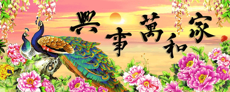 3d精准印花 十字绣家和万事兴 孔雀 花开
