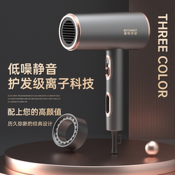 Botanical Home Appliance Hair Dryer Household Negative Ion Hair Care Quick-Drying Silent High-Power High-Speed High-Wind Barber Shop Botanical Home Appliance Hair Dryer Household Negative Ion Hair Care Quick-Drying Silent High-Power High-Speed High-Wind Barber Shop