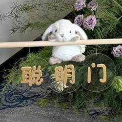 Baby first birthday decoration smart door Baby first birthday decoration smart door