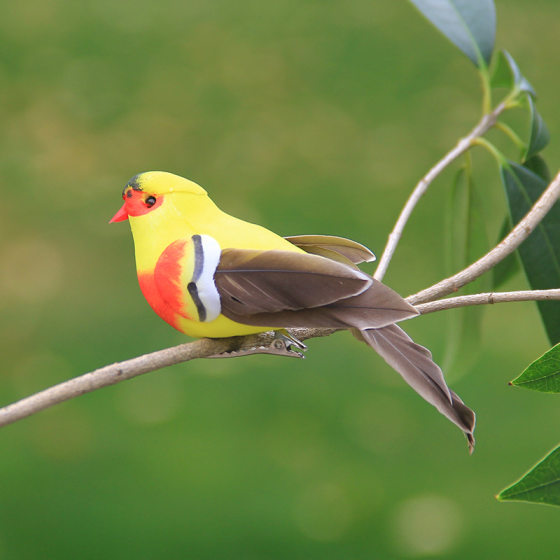 Crafts and home decorations ornaments decoration green plants bundled gardening garden decoration simulation feather bird oriole bird
Crafts and home decorations ornaments decoration green plants bundled gardening garden decoration simulation feather bird oriole bird