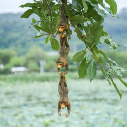 Simulated Animal Monkey Reaching for the Moon Hanging on a Tree Decoration for Garden Courtyard Outdoor Landscape Kindergarten Decoration Simulated Animal Monkey Reaching for the Moon Hanging on a Tree Decoration for Garden Courtyard Outdoor Landscape Kindergarten Decoration