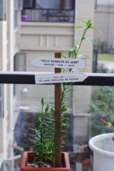 English Alphabet Wooden Flower Holder ins Style Zakka Miscellaneous Goods Garden Balcony Decoration Export Solid Wood Holder English Alphabet Wooden Flower Holder ins Style Zakka Miscellaneous Goods Garden Balcony Decoration Export Solid Wood Holder