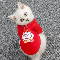 Cat Clothes Pet Hoodie Spring and Autumn Blue Cat Golden Tabby Anti-Shedding Dog Small Dog Pet Warm Winter Clothing Cat Clothes Pet Hoodie Spring and Autumn Blue Cat Golden Tabby Anti-Shedding Dog Small Dog Pet Warm Winter Clothing