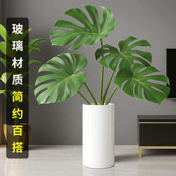 Large Monstera Flower Pot, Floor-Standing Vase, Living Room Flower Arrangement, Light Luxury, High-End White Glass Hydroponic Vessel Large Monstera Flower Pot, Floor-Standing Vase, Living Room Flower Arrangement, Light Luxury, High-End White Glass Hydroponic Vessel