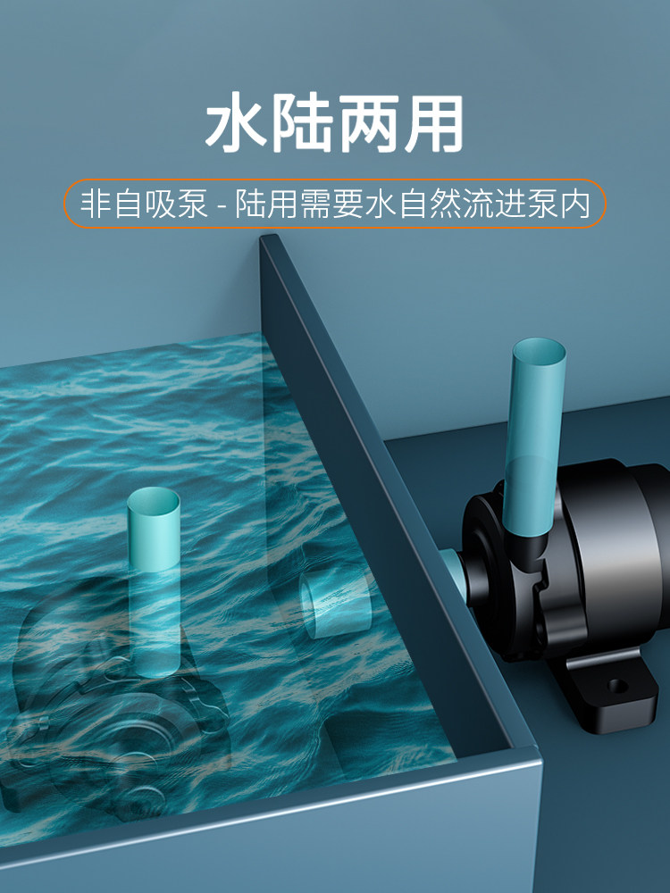 O1CN01dAyjqd1jDSfoKHWQI_!!