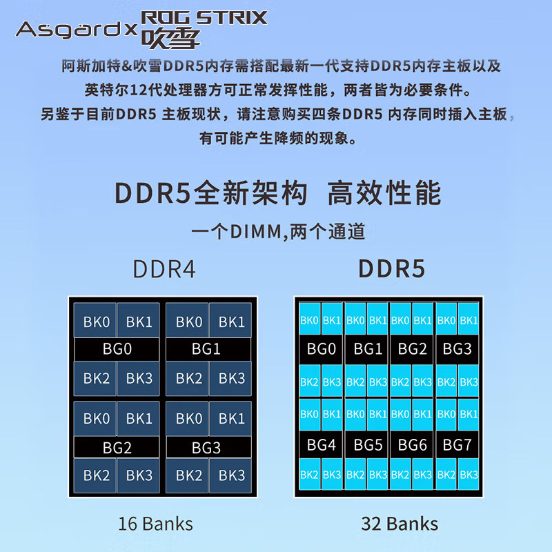 Asgard Fubuki DDR5 32GB (16GBx2) 6400MHz RGB Desktop Memory