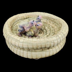 Special bedding material for bird nest breeding to prevent splayed feet Special bedding material for bird nest breeding to prevent splayed feet