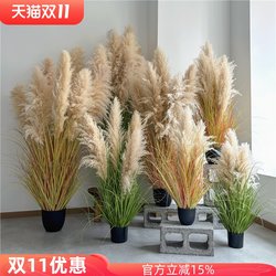 Fake Green Plant Natural Reed Fake Flower Setaria Indoor Classy Bionic Plant Landscape Ornaments Floor-standing Potted Plant Decoration Fake Green Plant Natural Reed Fake Flower Setaria Indoor Classy Bionic Plant Landscape Ornaments Floor-standing Potted Plant Decoration