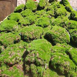Simulated moss moss block artificial artificial green fake turf green plants landscaping interior decoration plants Simulated moss moss block artificial artificial green fake turf green plants landscaping interior decoration plants