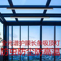 Special Lamp for Glass Sunrooms, Long Balcony Lamp, Courtyard Canopy Eaves, Ultra-Bright, Ultra-Thin Ceiling Lamp, 2025 New Model Special Lamp for Glass Sunrooms, Long Balcony Lamp, Courtyard Canopy Eaves, Ultra-Bright, Ultra-Thin Ceiling Lamp, 2025 New Model