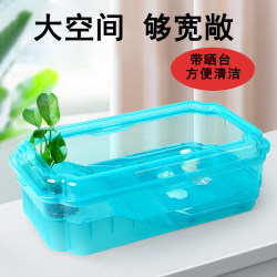 Turtle breeding tank ecological landscaping special tank for turtle breeding Turtle breeding tank ecological landscaping special tank for turtle breeding