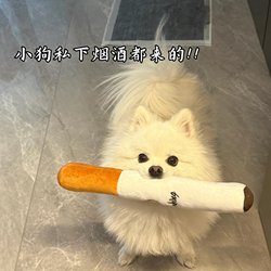 Dog Cigarette Plush Toy Huazi Pet Sound-Making Self-Entertainment Boredom-Relief Teething Durable Chew-Resistant Puppy Pet Supplies Dog Cigarette Plush Toy Huazi Pet Sound-Making Self-Entertainment Boredom-Relief Teething Durable Chew-Resistant Puppy Pet Supplies