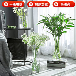Transparent Glass Vase Decoration for Living Room Flower Arrangement, Large Nordic Creative Simple Straight Large Vase for Lucky Bamboo and Water Bamboo, Floor-Standing Transparent Glass Vase Decoration for Living Room Flower Arrangement, Large Nordic Creative Simple Straight Large Vase for Lucky Bamboo and Water Bamboo, Floor-Standing