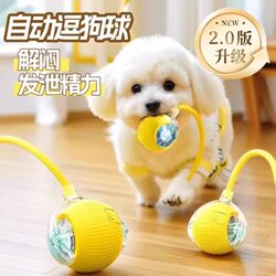 Automatic Dog Walking Ball Dog Toy, Bite-Resistant, Self-Entertaining, Boredom-Relief Gadget, Rechargeable Smart Electric Pet Cat Toy Ball Automatic Dog Walking Ball Dog Toy, Bite-Resistant, Self-Entertaining, Boredom-Relief Gadget, Rechargeable Smart Electric Pet Cat Toy Ball
