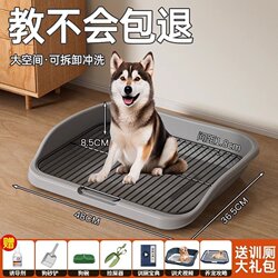 Pet dog toilet small medium and large dog iron mesh super large space cleaning anti-touching potty pet dog urine pot Pet dog toilet small medium and large dog iron mesh super large space cleaning anti-touching potty pet dog urine pot