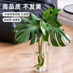 Anti-Fall Thickened Acrylic Vase, Transparent Straight Tube Simple Vase, Hydroponic Flowers, Horsewood Floor Decoration for Living Room Anti-Fall Thickened Acrylic Vase, Transparent Straight Tube Simple Vase, Hydroponic Flowers, Horsewood Floor Decoration for Living Room