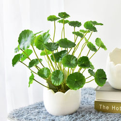 Artificial Multi-Headed Pennywort Fake Flowers Home Decorations Living Room Dining Room Floral Arrangements Green Plants Silk Flower Bouquet Artificial Multi-Headed Pennywort Fake Flowers Home Decorations Living Room Dining Room Floral Arrangements Green Plants Silk Flower Bouquet