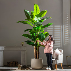 Large-Leaf Artificial Banana Tree, Simulated Green Plant, Bionic Plastic Fake Flower, Fake Tree Potted Banana Tree Plant for Indoor Decoration Large-Leaf Artificial Banana Tree, Simulated Green Plant, Bionic Plastic Fake Flower, Fake Tree Potted Banana Tree Plant for Indoor Decoration