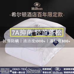 Five-Star Hotel Hilton down Quilt 95% White Goose down Quilt Winter Quilt Core Single Student Dormitory Double Five-Star Hotel Hilton down Quilt 95% White Goose down Quilt Winter Quilt Core Single Student Dormitory Double
