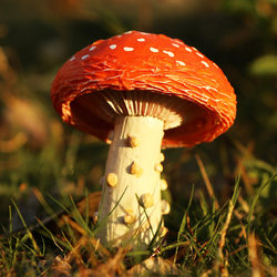 Outdoor Courtyard Landscape Decorations, Garden Potted Plants, Bonsai Decorations, Simulated Mushroom Micro-Landscape Lawn Ornaments Outdoor Courtyard Landscape Decorations, Garden Potted Plants, Bonsai Decorations, Simulated Mushroom Micro-Landscape Lawn Ornaments