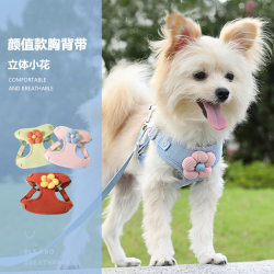 Pet vest leash dog cartoon three-dimensional accessories Teddy walking dog leash cats preventing breaking away from chest and back Pet vest leash dog cartoon three-dimensional accessories Teddy walking dog leash cats preventing breaking away from chest and back