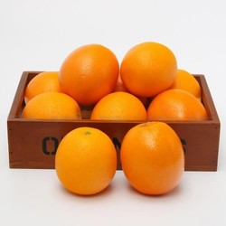 Export High-Simulation Fruit Fake Fruit and Vegetable Model Cabinet Decorations Simulated Orange Orange Supermarket Export High-Simulation Fruit Fake Fruit and Vegetable Model Cabinet Decorations Simulated Orange Orange Supermarket