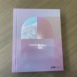 Korean Imported Platinum Film for Hotel Renovation, Wardrobe, Wooden Door, Fire Door, Moisture-Proof, Thickened Sticker, Eco-Friendly Film Korean Imported Platinum Film for Hotel Renovation, Wardrobe, Wooden Door, Fire Door, Moisture-Proof, Thickened Sticker, Eco-Friendly Film