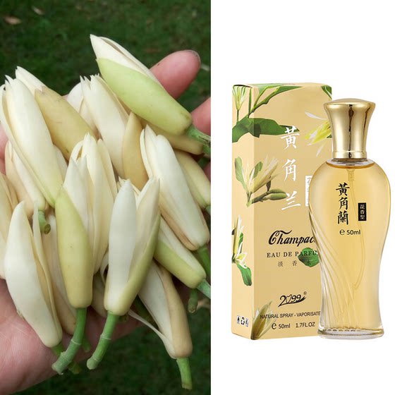 Classic domestic white orchid perfume yellow orchid gardenia jasmine fresh and light fragrance ladies lasting fragrance official authentic
Classic domestic white orchid perfume yellow orchid gardenia jasmine fresh and light fragrance ladies lasting fragrance official authentic