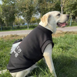 Dog Autumn and Winter Clothes, Fleece-Lined Vest Style, for Labrador, Golden Retriever, Samoyed, Border Collie, Medium and Large Dogs Dog Autumn and Winter Clothes, Fleece-Lined Vest Style, for Labrador, Golden Retriever, Samoyed, Border Collie, Medium and Large Dogs