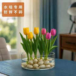 Non-Porous Large-Diameter Low Flower Pot Hydroponic Tulip Vase Special Container Transparent Plastic Imitation Glass Acrylic Small Non-Porous Large-Diameter Low Flower Pot Hydroponic Tulip Vase Special Container Transparent Plastic Imitation Glass Acrylic Small