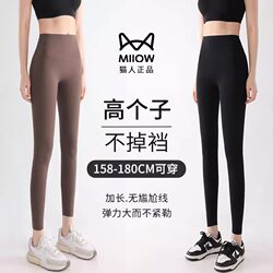 Catman Tall Shark Pants for Women, Suitable for Spring, Summer, Autumn, and Winter, Extra Long, Thin, High-Waisted, Fleece-Lined, Thickened Yoga Leggings Catman Tall Shark Pants for Women, Suitable for Spring, Summer, Autumn, and Winter, Extra Long, Thin, High-Waisted, Fleece-Lined, Thickened Yoga Leggings
