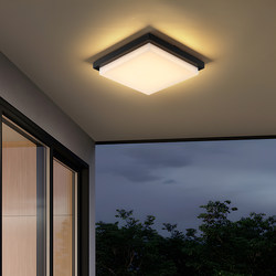 Outdoor Ceiling Light Waterproof and Insect-Proof Foyer Entrance Light Corridor Aisle Balcony Villa Eaves Outdoor Terrace Ceiling Light Outdoor Ceiling Light Waterproof and Insect-Proof Foyer Entrance Light Corridor Aisle Balcony Villa Eaves Outdoor Terrace Ceiling Light